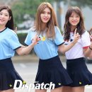 세정 이미지
