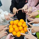 꼬마피아니스트음악학원 이미지
