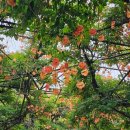 부천중앙공원 이미지