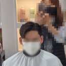 노스헤어 이미지