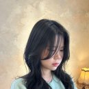 디페드(DFED)송정점