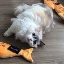 스마트디에스