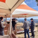 송산동-1 이미지