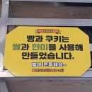 꼬솜(kkosom) 이미지