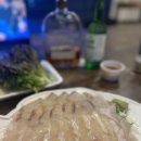 [가평 광어 회포장] 가성비 모듬회 맛집 두리회수산 내돈내산 추천 솔직후기!