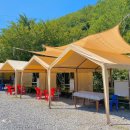 대바우가든 이미지