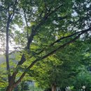 완주 편백숲 관광안내소 이미지