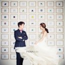 피오나 Daum카페