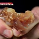 (주)여행담 이미지