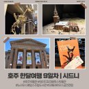 뉴오페라노래연습장 | 시드니 - 호주 박물관, 하이드 파크 배럭스 박물관, 뉴사우스웨일스 주립 도서관, 오페라하우스 공연 관람