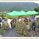 온달농장 이미지