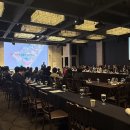 폴리트 이미지