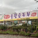 신태향 이미지