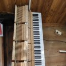 꽃무지풀무지유치원 이미지