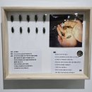 곤충 파충류 기획전/일산 아쿠아플라넷/ 다흑 박람회 오픈 방문후기/ 주차장/ 주차권/ 영업시간까지