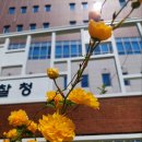 금오로23번길 22-49 이미지
