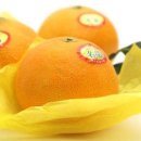 청정2농장 이미지