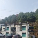 더리썸풀빌라 | 더리썸풀빌라 가평의 숨은 보석!