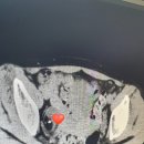 최성란산부인과의원 이미지