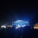 (주)여행이좋은사람들 | 고알빙락 페스티벌 후기 2025 충주 목계솔밭 캠핑장 with 드림밴