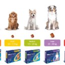 수원백화점약국 이미지