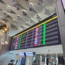 제주여행의 시작 1일차 코스 :: 도두동무지개해안도로 &amp; 동문시장 &amp; 소노벨제주 패밀리 투숙후기