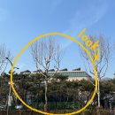 시민회관(건너) 이미지