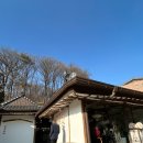 세븐일레븐 의왕호수점 | 의왕 백운호수 한옥카페 청이당 베이커리 가족 아이랑 애견동반 솔직후기