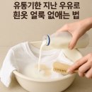 유통기한 지난 우유로 흰옷 얼룩 없애는 법
