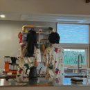 스테이 안도감 제주 이미지