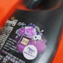 미스티크 이미지