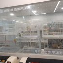 앵무새동물원 이미지