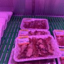 구로-구로-구로-837 | 구로회식 장소 고민 끝! 구로한우정육식당 솔직 방문 후기