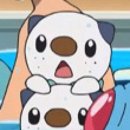 수댕이네 이미지