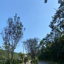 태안둘레길캠핑장 이미지