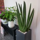 미를 그리다 피부관리 대구 본점 이미지