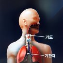 보습흙침대숨