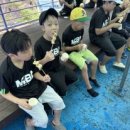 다정MBA태권도 이미지