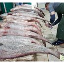 느티나무당구장 이미지