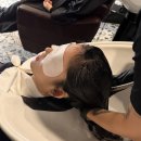 SJ프로헤어