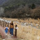 선암골 이미지