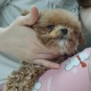 진해동물의료센터 이미지