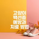 하나로 동물병원 이미지