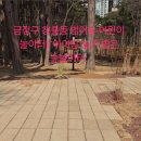 대흥아파트(금정)어린이놀이터 | [부산 나들이] 부산 금정구 청룡동 범어숲 어린이놀이터 개장! 범어사 근처 아이랑 가기 좋은 숲놀이터...