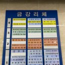 돈지존