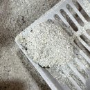 늘, 고운펫 | 모랭머랭 :: 벤토랑 카사바 따로 섞는 집사들 주목 고양이모래추천 고양이모래 모랭머랭 벤토+카사바