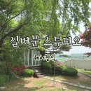 배경 맛집 실버문 스튜디오 헤어장식 후기