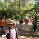 독정초등학교 이미지