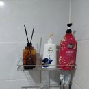 월드케어 이미지