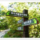 봉대산 이미지